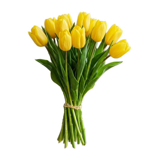 Picture of Yellow Flight