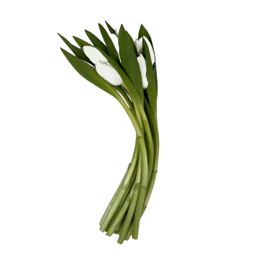 Picture of Royal Virgin